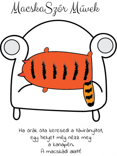 Cicc vs távirányító